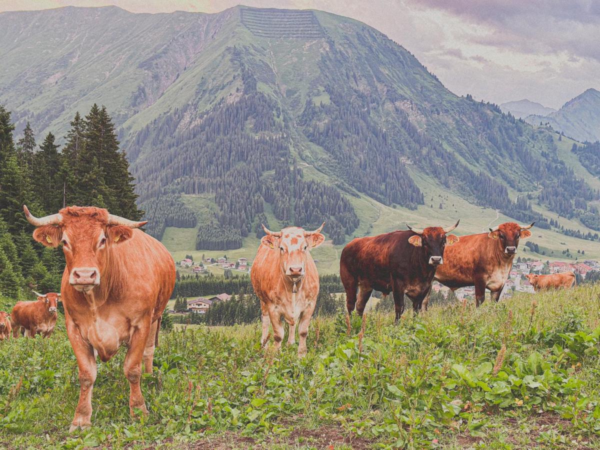 Chalet Schwarz Berwang Zewnętrze zdjęcie